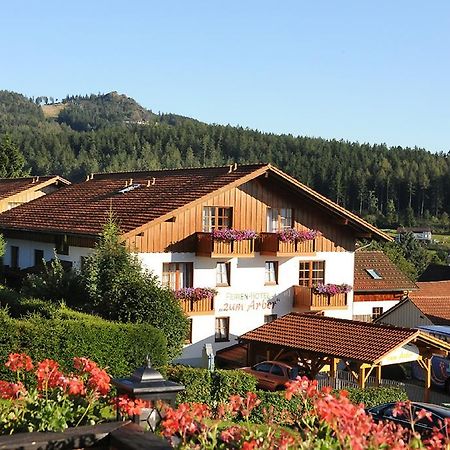 Ferien- Und Aktivhotel Zum Arber Боденмайс Экстерьер фото